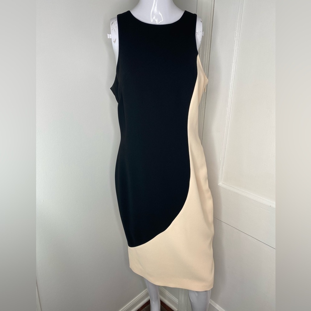 RACHEL ROY 10 Elegant Black and Cream Dress
